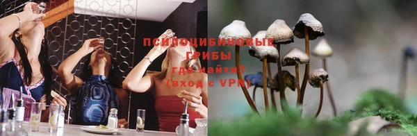 jwh Медногорск