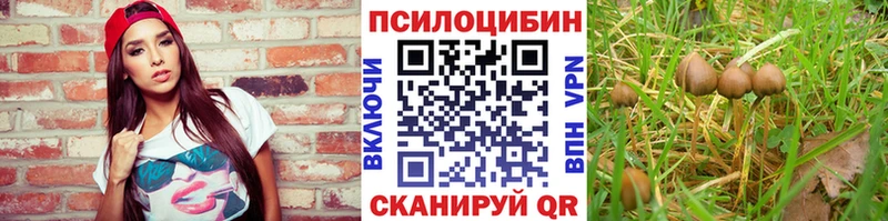 Галлюциногенные грибы ЛСД  Купить закладки  Безенчук 